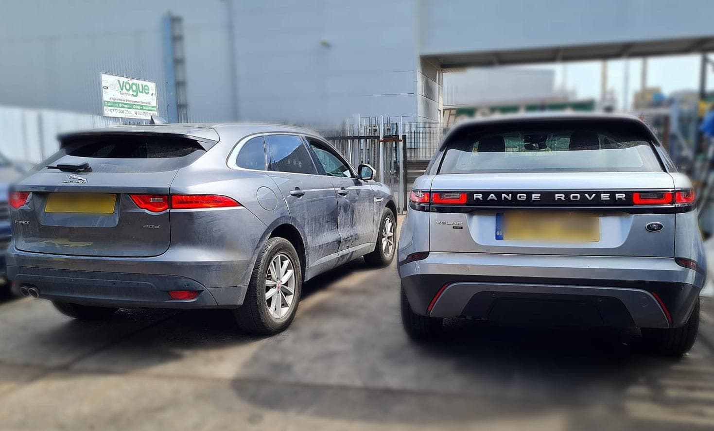 Expert technician at work